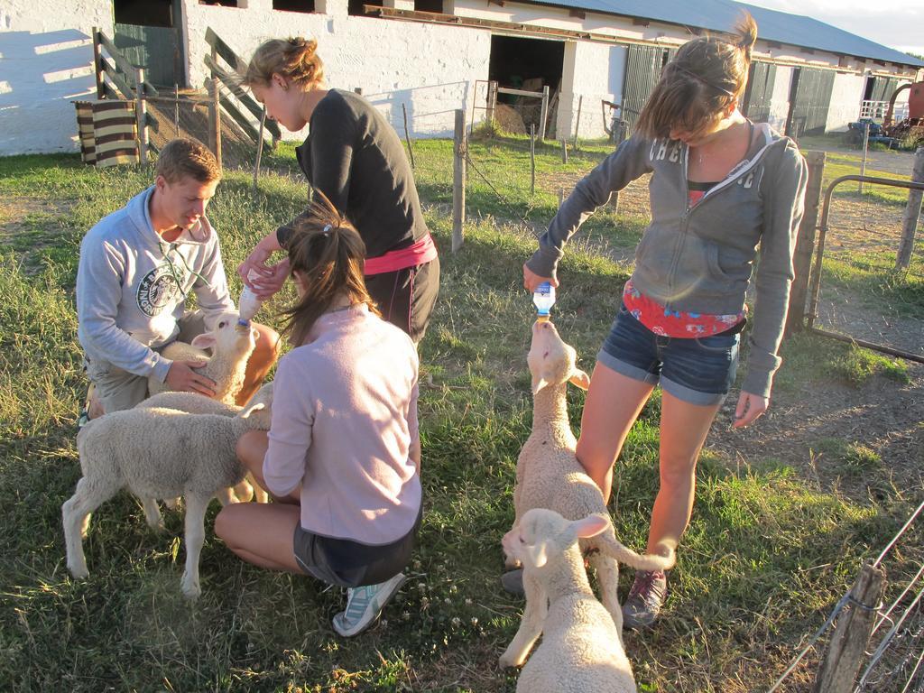 Ganora Guest Farm, Camping And Excursions Nieu-Bethesda Exterior foto